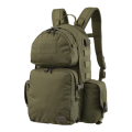 PL-AMB-CD-02.png