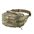 BG-LSDR-CD5-MCM.png