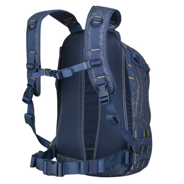 pl-edc-np-back-2